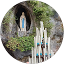 Javier Gómez profile picture