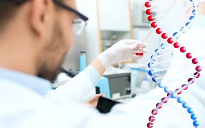 ¿Qué ocurre si no quiero someterme a una prueba biológica de paternidad o maternidad en un procedimiento de filiación?